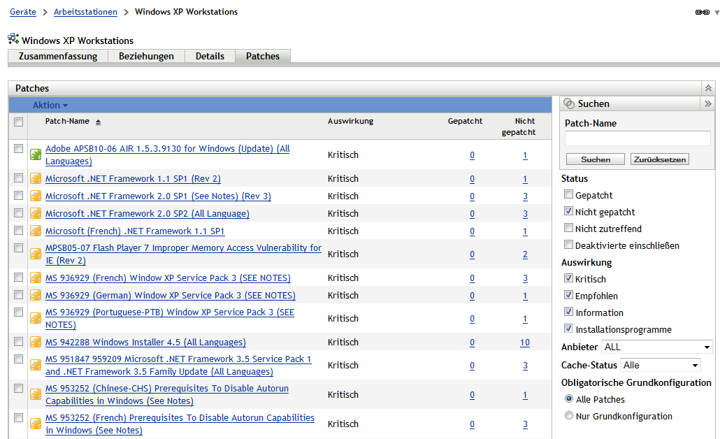 Für Windows XP-Arbeitsstationsgruppen anwendbare Schwachstellen