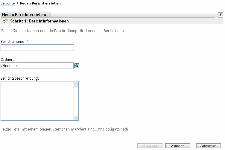 Seite "Berichtinformationen"