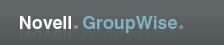 Logo area in the main WebAccess window