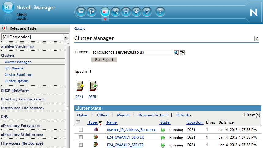 Cluster Manager