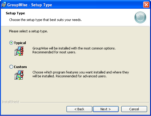 Setup Type page