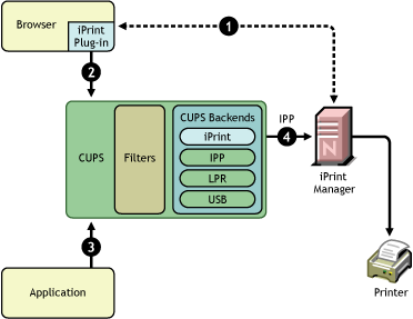 Using iPrint