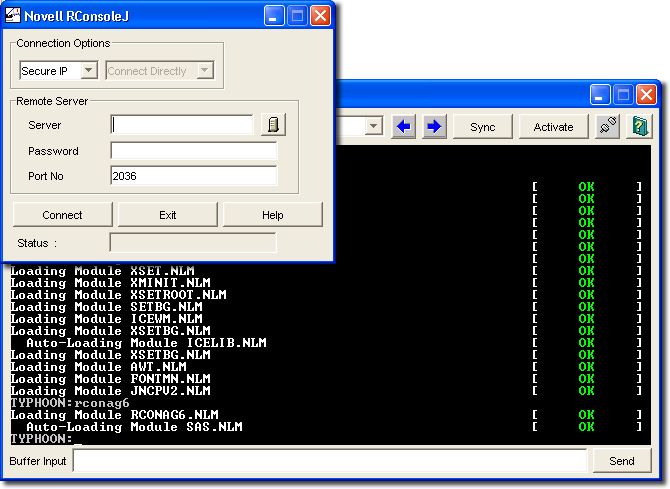 The RConsoleJ interface.
