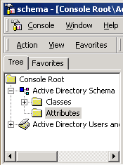 The Attributes folder