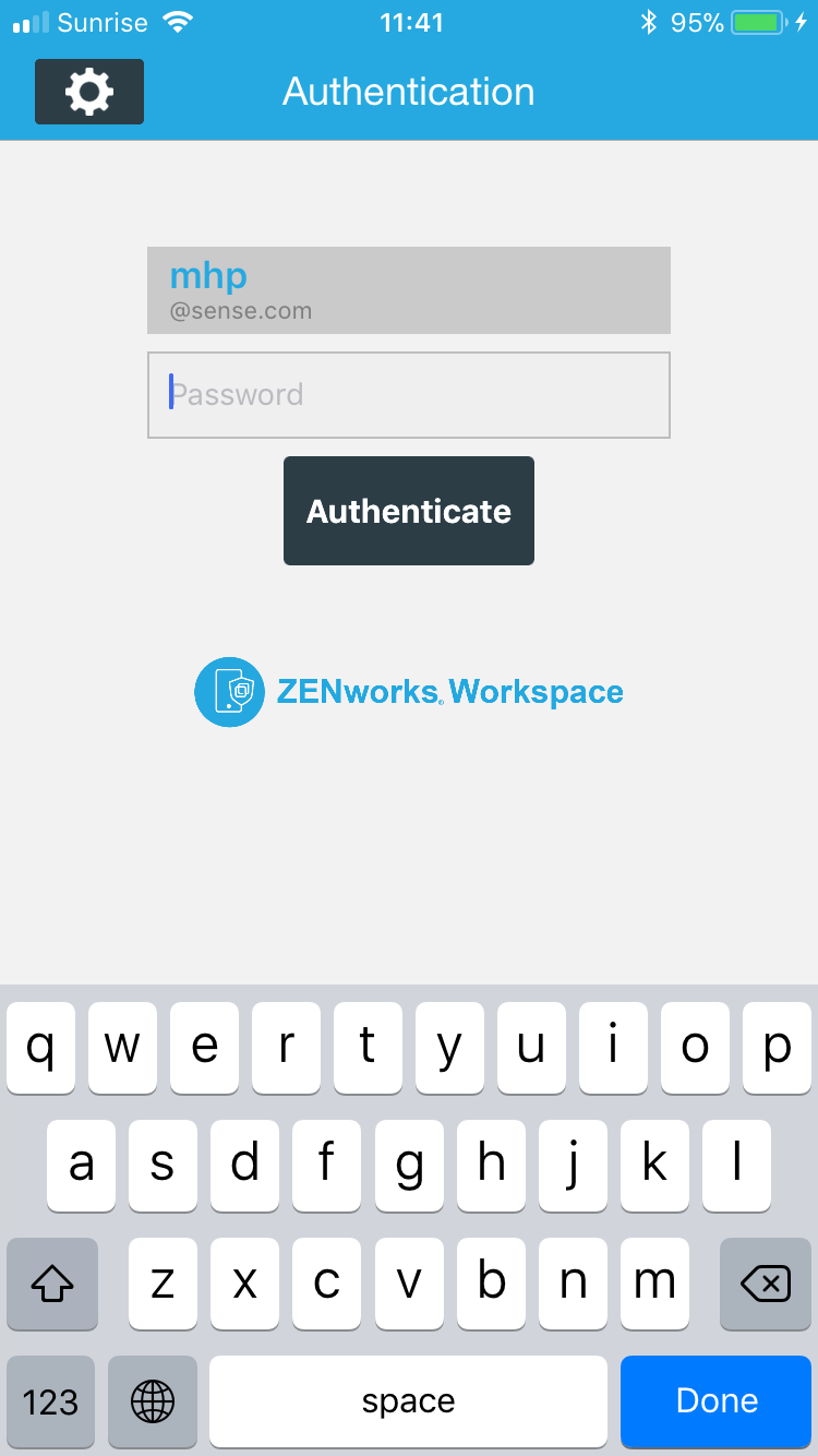 iOS login view
