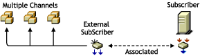 A parent Subscriber that passes distributions from a Channel to an External Subscriber