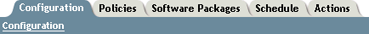 Remote Web Console tabs for the Policy/Package Agent