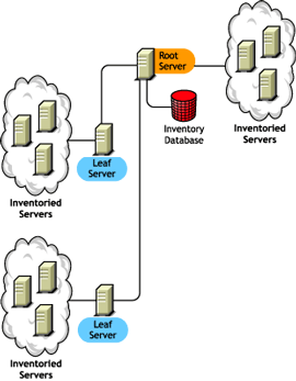 The Root Server with Inventoried Servers at the highest level, with inventoried servers attached to it. Also, more than one Leaf Server is attached to this Root Server with Inventoried Servers.