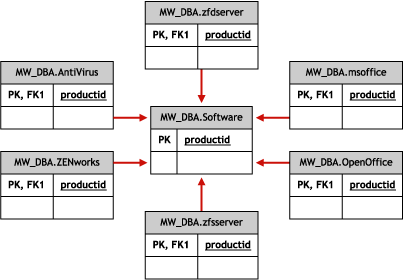 Schema for Software Sub-classes