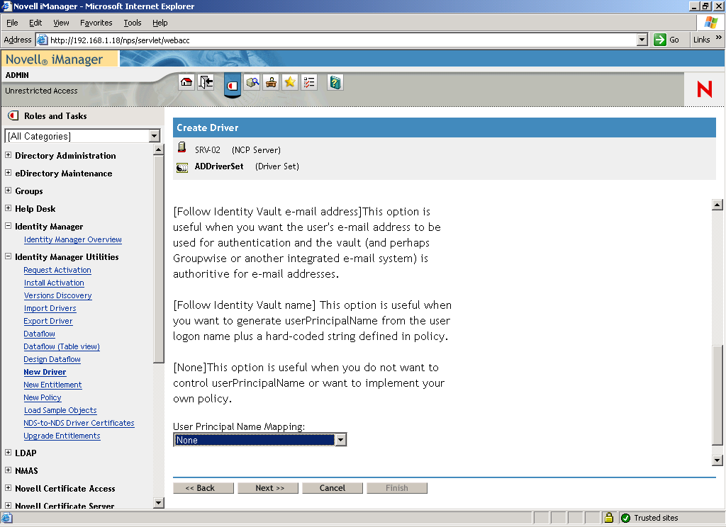 The Create Driver Wizard opened on the main page of Novell iManager. The Active Directory Driver Set page is opened.