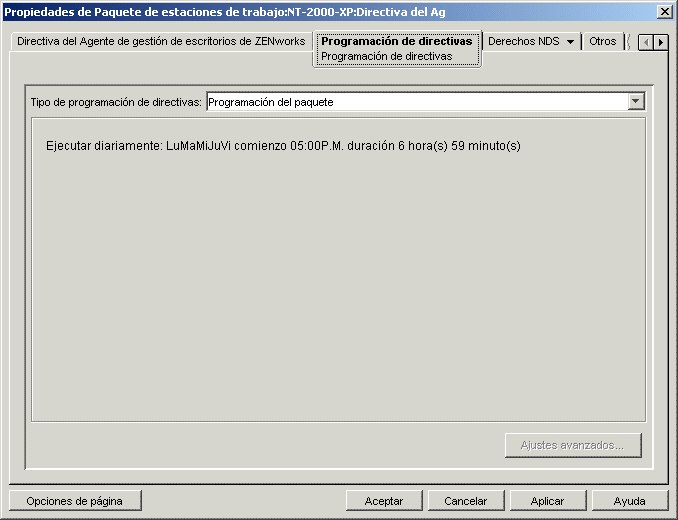 La página Programación de directivas.
