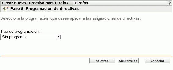 Página Programación de directivas