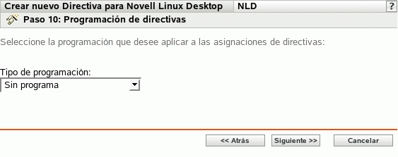 Página Programación de directivas