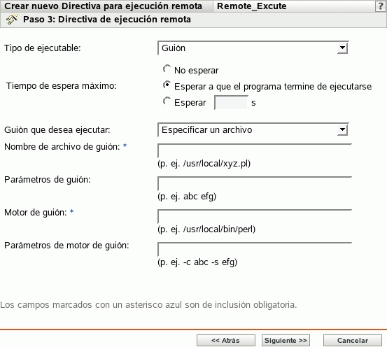 Página Directiva para ejecución remota