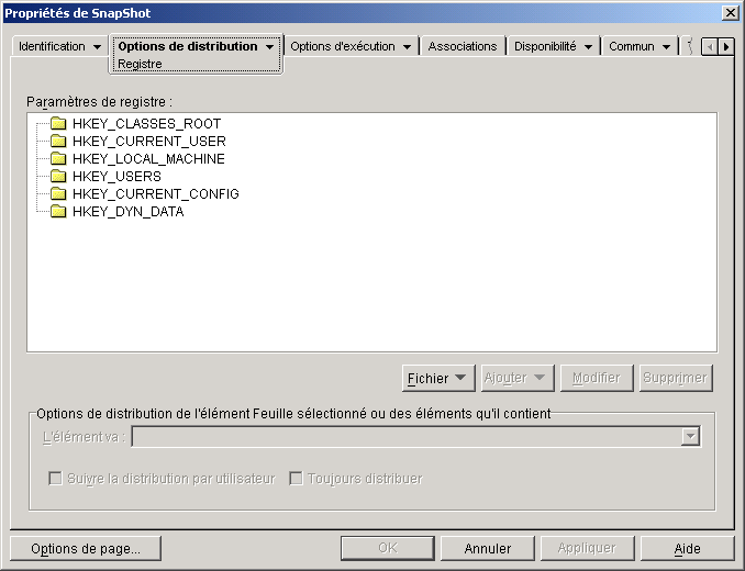 Objet Application > onglet Options de distribution > page Registre