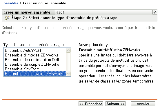 Étape 2 de création d'un nouvel ensemble : sélectionner le type d'ensemble de pré-lancement