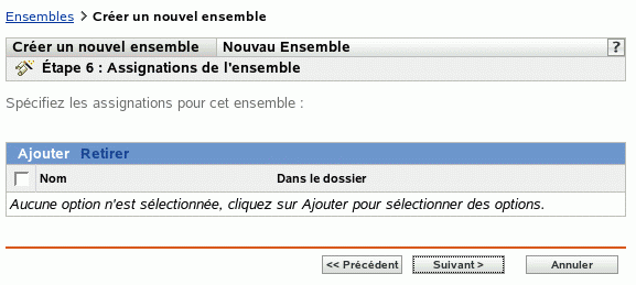 Étape 6 - création d'un nouvel ensemble : Assignations d'ensembles
