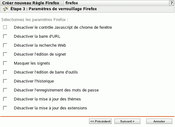 Page Paramètres de verrouillage Firefox