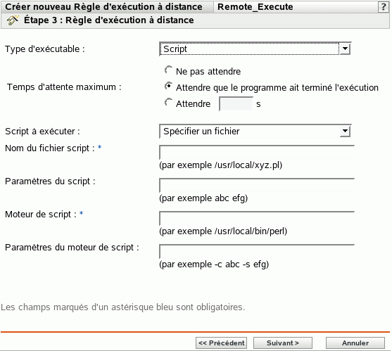 Page Stratégie d'exécution à distance