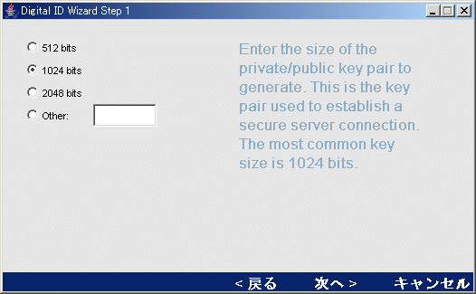 digwiz1a