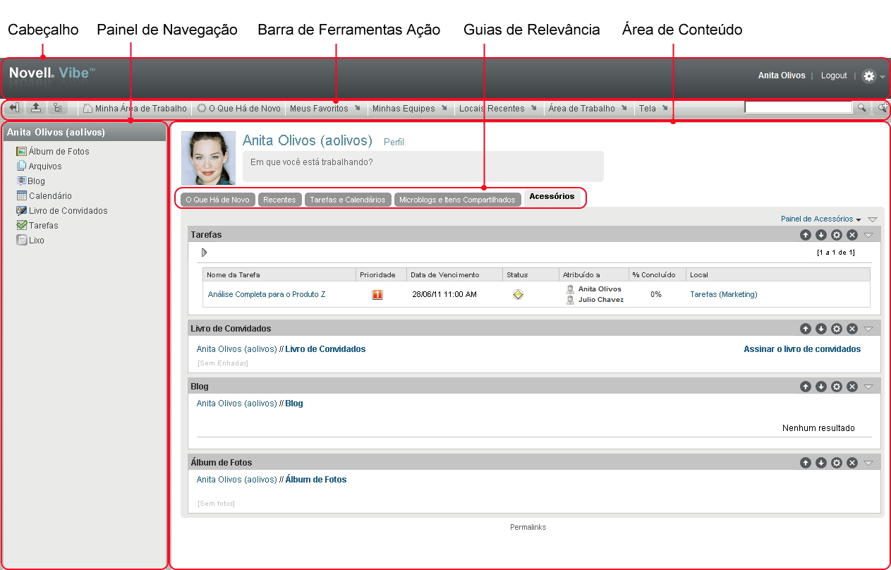 Interface do Vibe Interface do Vibe