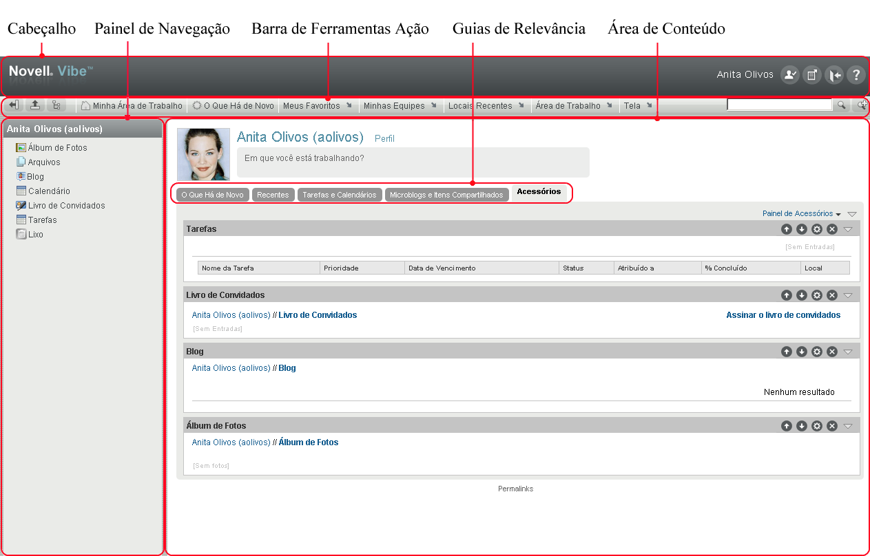 Interface do Vibe Interface do Vibe