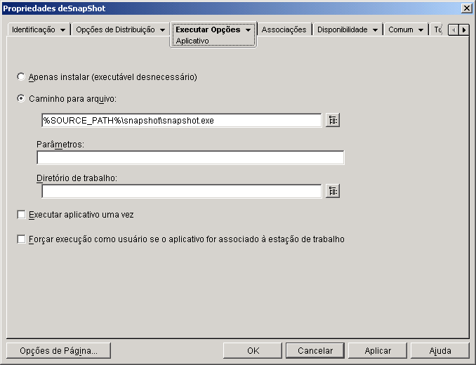 Objeto Aplicativo > guia Executar Opes > pgina Aplicativo
