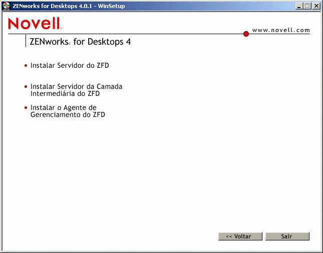 Pgina de opes de instalao do ZfD