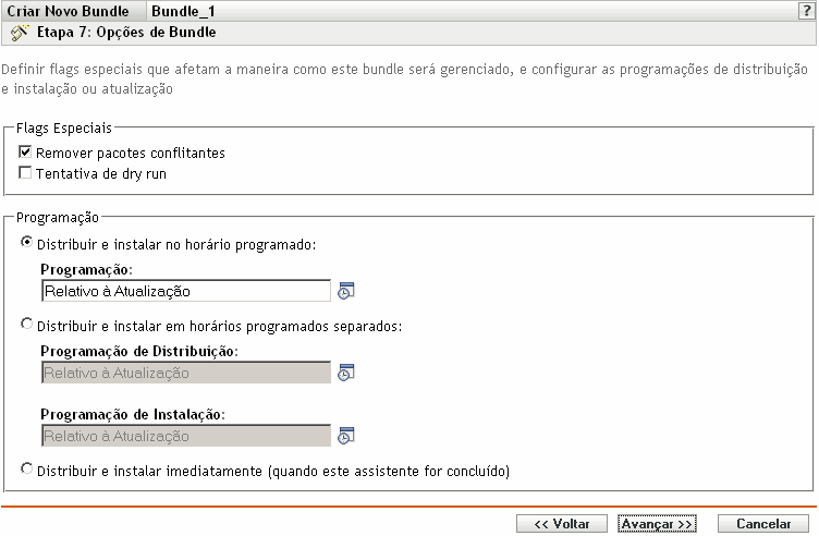 Página Opções de Bundle