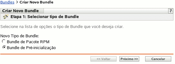 Página da etapa 1 para criar um novo bundle: Selecionar Tipo de Bundle