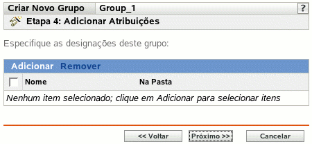 Página Adicionar Designações