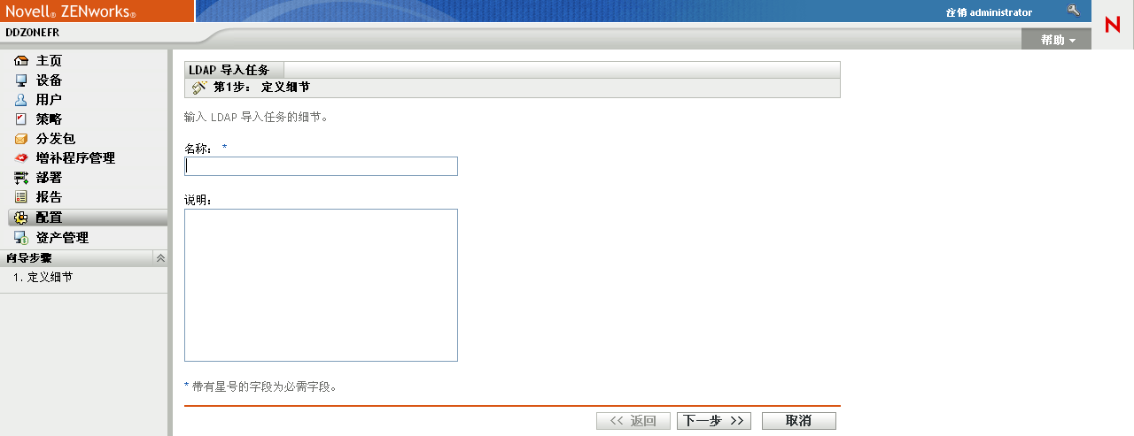 LDAP 导入任务向导 > 定义细节页